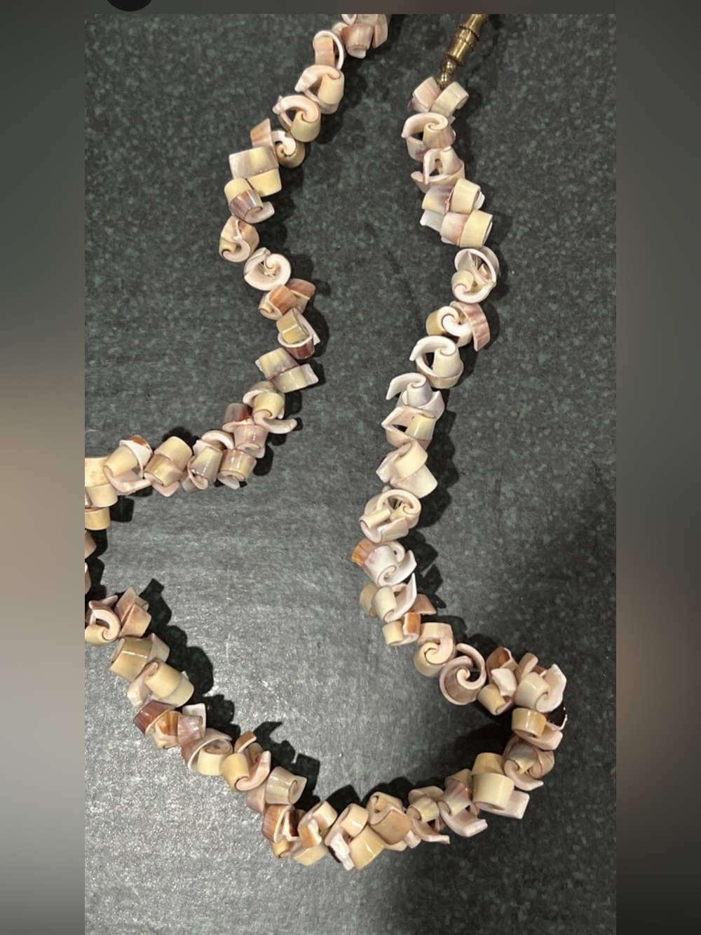 Vintage Cone Shell Necklace 1970s Hawaiian Boho Luxe Surfer Beach Chic Choker